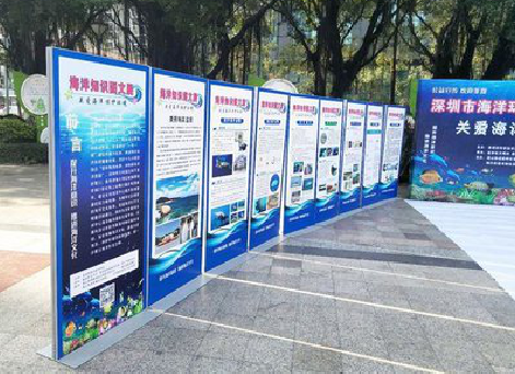 崇左KT板的种类和知识。